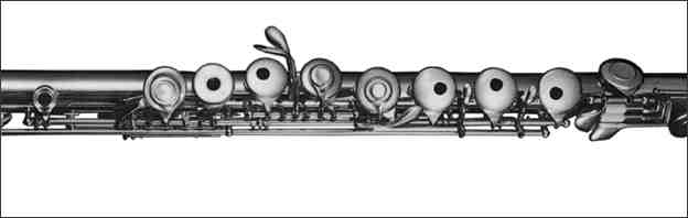 Kingma System alto flute with La Berge specifications